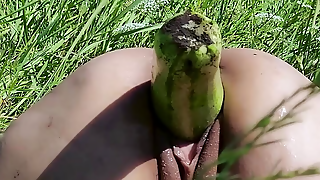 A petite brunette came to the zucchini field to satisfy her desires. I chose zucchini of different sizes for my own pleasure. The bitch fucked and jumped on them, not noticing anyone around, right in the field. Her huge pussy was stretched to take one big dick after another. Lying on the ground with her bare ass, not afraid to stain her skirt, she moaned with pleasure and inserted them deep into her pussy.